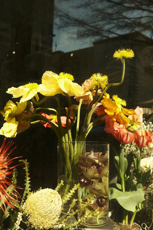 blog